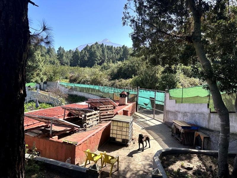 Foto 6ab4cf2b-8cd7-4fe3-97ad-1b6df3863e65. Masia amb aparcament a La Vega - El Amparo - Cueva del Viento Icod de los Vinos