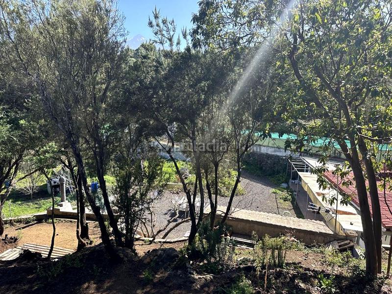 Foto 7b177144-770c-4fba-a709-906ce6413d32. Masia amb aparcament a La Vega - El Amparo - Cueva del Viento Icod de los Vinos