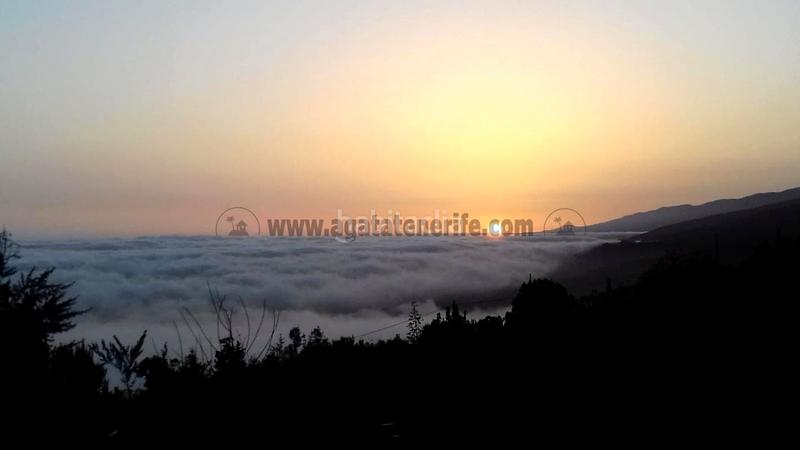 Foto cfd86720-3adb-4158-b93c-d59fcfe60b2f. Masia amb aparcament a La Vega - El Amparo - Cueva del Viento Icod de los Vinos