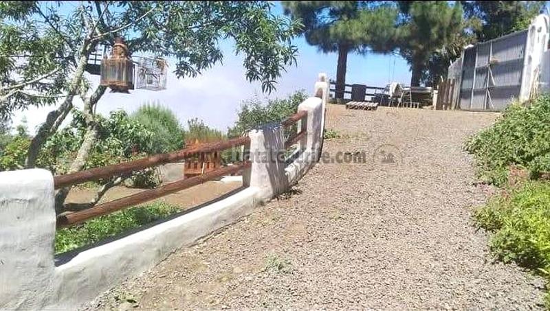 Foto dba9c647-3193-4ea6-8dbe-9f385883d189. Masia amb aparcament a La Vega - El Amparo - Cueva del Viento Icod de los Vinos