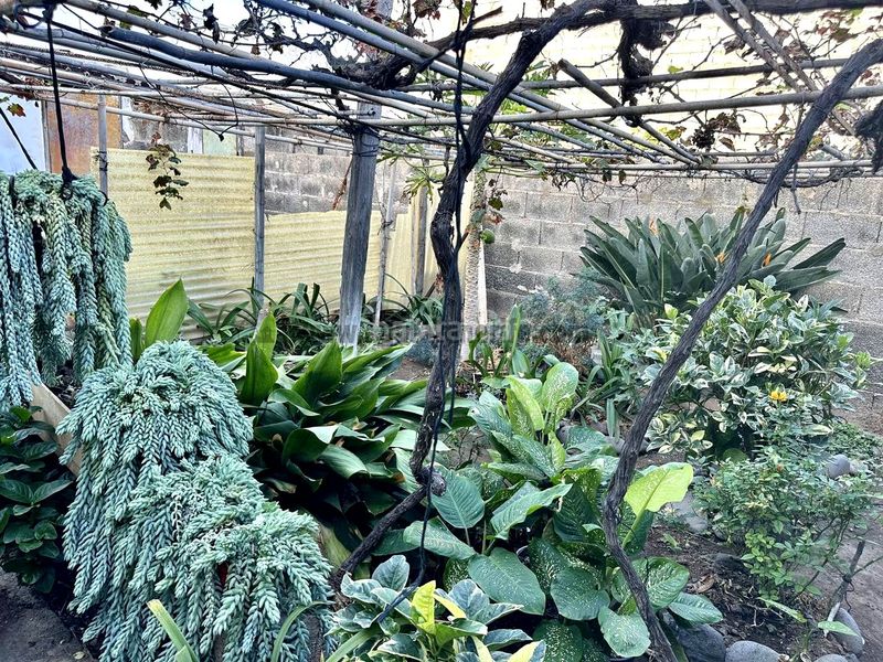 Foto 90cc146e-1b51-4d9d-8fdf-a82ed77a1dd0. Casa amb aparcament a Silos (Los)