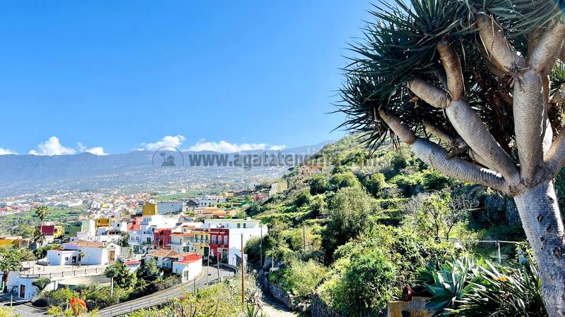 Foto 62ecba72-e9ef-49bb-a44c-c378ee25d986. Country house with parking in Los Realejos pueblo Realejos (Los)