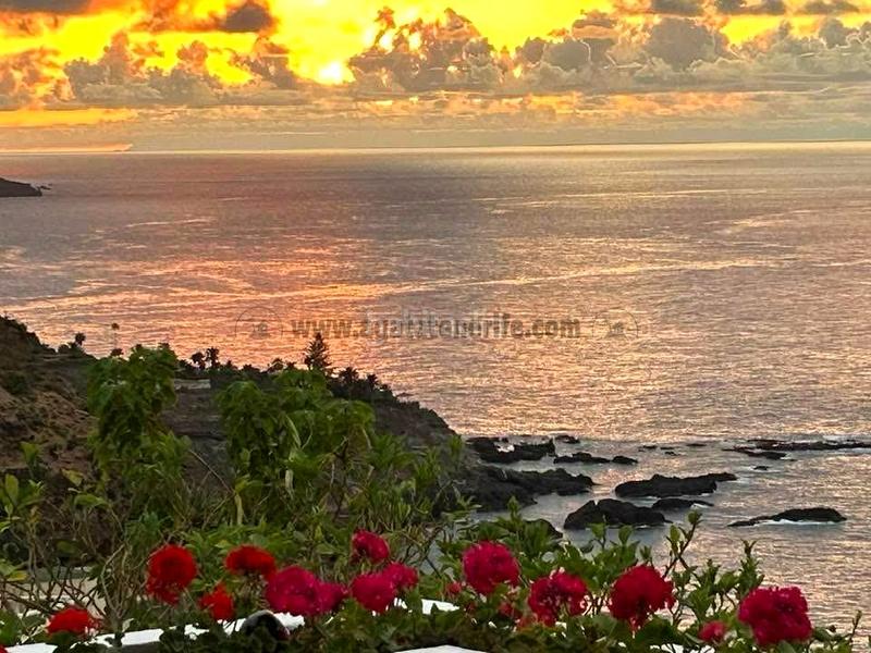 Foto e88098ab-eafe-49e1-8075-c475ce0ca6e7. Casa en Longuera - Toscal Realejos (Los)