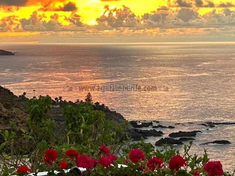 Foto e9525a32-78fc-44cf-a788-d9701bbe10bd. Casa en Longuera - Toscal Realejos (Los)