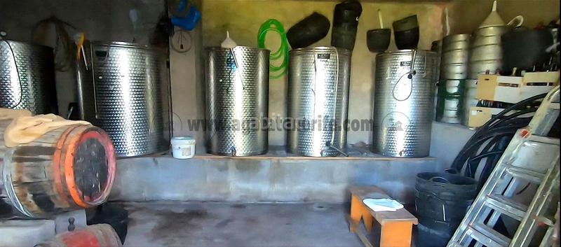 Foto 7addd92a-969b-45f8-9282-36c0c7010b5c. Casale in La Vega - El Amparo - Cueva del Viento Icod de los Vinos