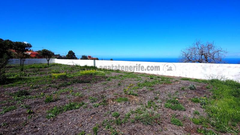Foto 7c058716-43a9-465c-9729-3c1054367c58. Casale in La Vega - El Amparo - Cueva del Viento Icod de los Vinos
