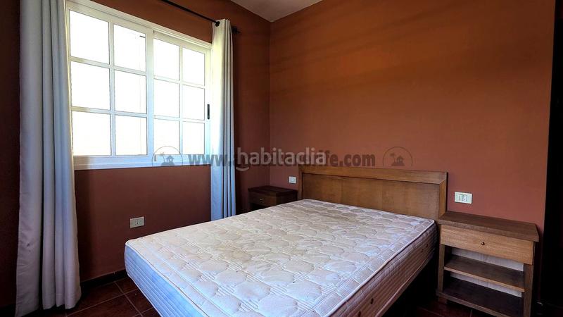 Foto 6cbba87d-7d77-4a09-b324-b552ef0e8560. Masia a La Vega - El Amparo - Cueva del Viento Icod de los Vinos