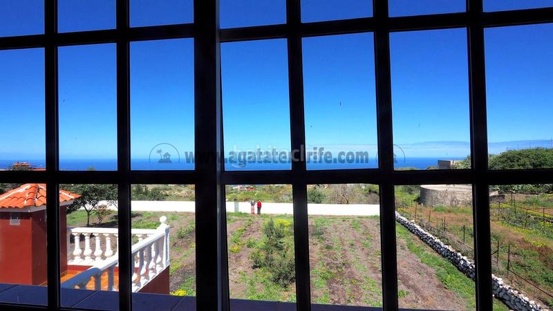 Foto b0973ab4-a2a6-43f6-9b2e-2bfa4a7db6f1. Masia a La Vega - El Amparo - Cueva del Viento Icod de los Vinos