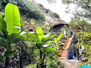 Masia a Vallehermoso. Bio finca  la gomera