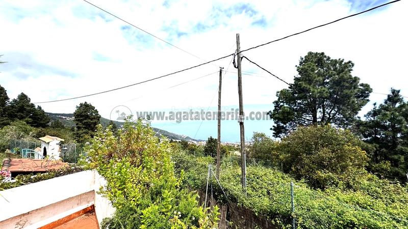 Foto 339340c3-fd58-4231-82cc-0d47be8833a9. Bauernhof mit pool in La Vega - El Amparo - Cueva del Viento Icod de los Vinos