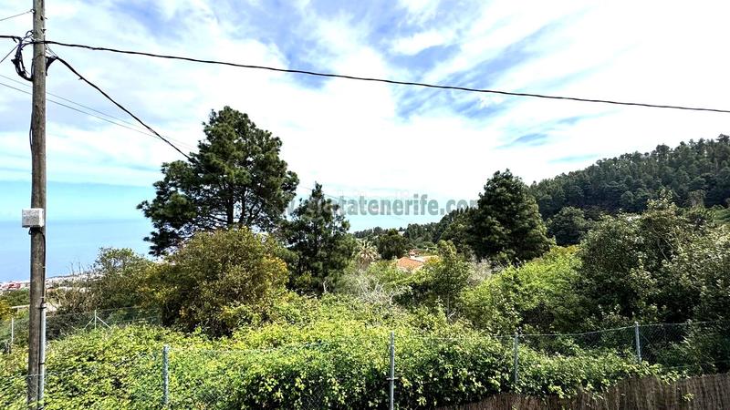 Foto e4ef34ae-6af0-4b4e-907b-299f1c5c7bf5. Bauernhof mit pool in La Vega - El Amparo - Cueva del Viento Icod de los Vinos