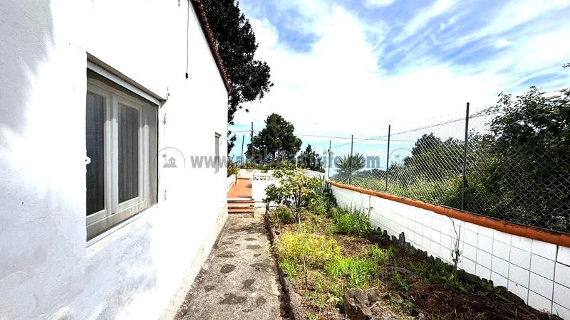 Foto 16462c25-834e-4387-a09f-1e486707063e. Casale con piscina in La Vega - El Amparo - Cueva del Viento Icod de los Vinos