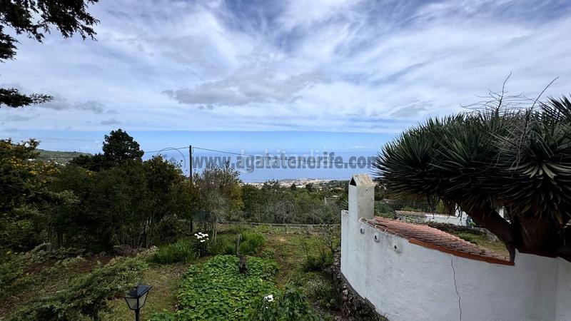 Foto 1f79ab2b-4785-4a6a-8118-055719370351. Casale con piscina in La Vega - El Amparo - Cueva del Viento Icod de los Vinos