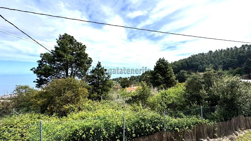 Foto 53a9d6e6-f450-439a-9f3f-682268851499. Casale con piscina in La Vega - El Amparo - Cueva del Viento Icod de los Vinos