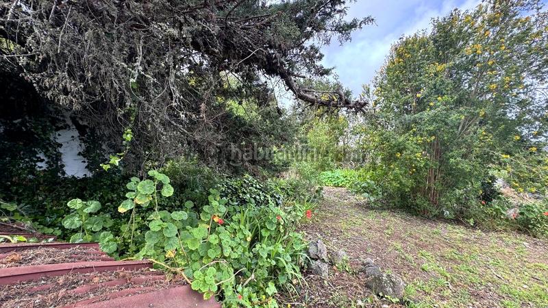 Foto f33012cb-d037-4ebd-b698-5c61cffd182e. Country house with pool in La Vega - El Amparo - Cueva del Viento Icod de los Vinos