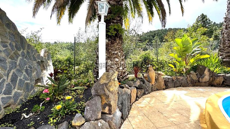 Foto 33ab24a5-a89a-456b-a09e-0dadd960ca64. Masia amb piscina a La Vega - El Amparo - Cueva del Viento Icod de los Vinos