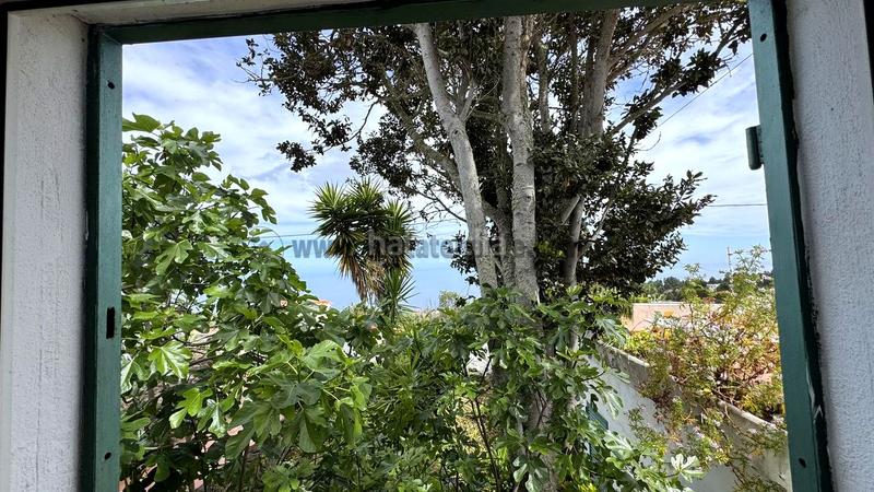 Foto 6cd1c68a-bddf-432e-80d1-e219f928d236. Masia amb piscina a La Vega - El Amparo - Cueva del Viento Icod de los Vinos