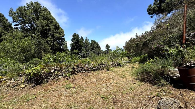 Foto 57155468-b2f4-4053-abf8-016485ad12da. Terreny residencial a la peña 1 a La Vega - El Amparo - Cueva del Viento Icod de los Vinos