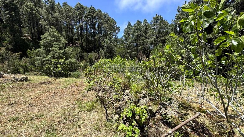 Foto 5add5db1-92bf-43a7-b8df-8b84b671d466. Terreny residencial a la peña 1 a La Vega - El Amparo - Cueva del Viento Icod de los Vinos
