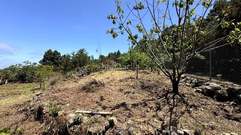 Foto 73cafdaf-f7f9-42a8-a988-73204612bacd. Terreny residencial a la peña 1 a La Vega - El Amparo - Cueva del Viento Icod de los Vinos