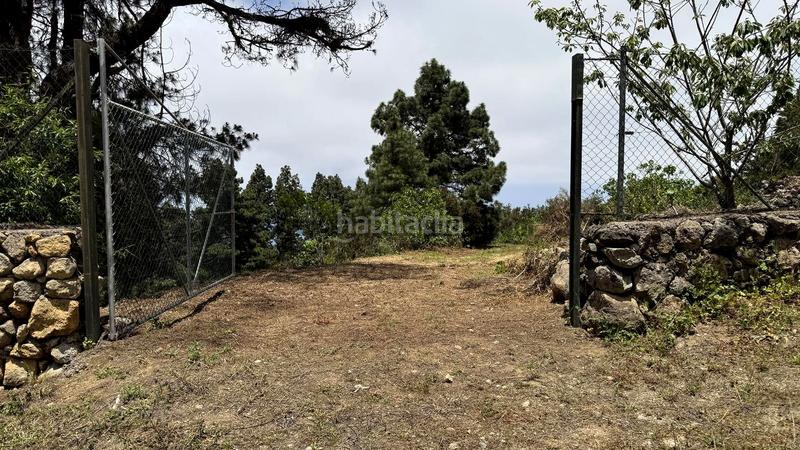 Foto 98c116ab-a367-45ea-afc5-48c1e751f9e8. Terreny residencial a la peña 1 a La Vega - El Amparo - Cueva del Viento Icod de los Vinos