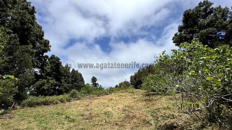 Foto a30f4edd-51f4-4864-8707-edbe4ad250d2. Terreny residencial a la peña 1 a La Vega - El Amparo - Cueva del Viento Icod de los Vinos