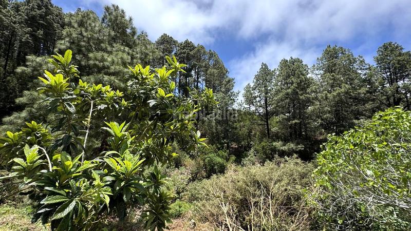 Foto 3f7bb275-6fd2-4fbd-aa44-1d5a8287184e. Terreno residenziale in la peña 1 in La Vega - El Amparo - Cueva del Viento Icod de los Vinos