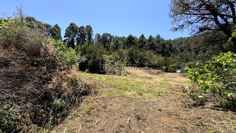 Foto 7523f196-7b39-436f-be6d-f8301ef4b4f0. Terreno residenziale in la peña 1 in La Vega - El Amparo - Cueva del Viento Icod de los Vinos