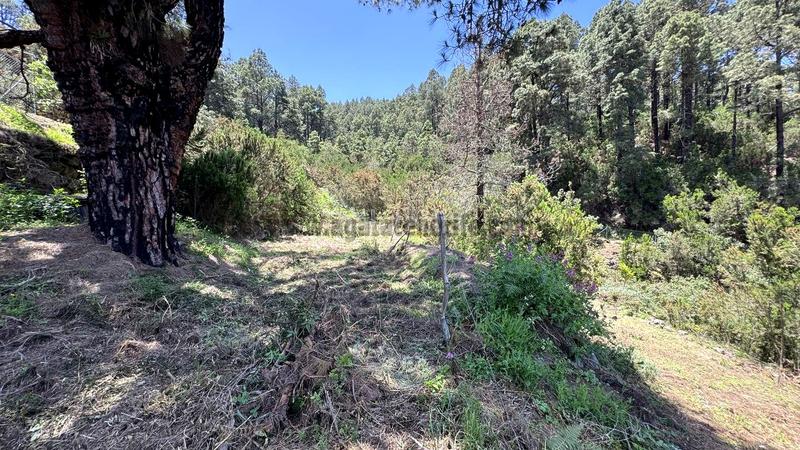 Foto 9fc6a95a-176d-42b9-b42e-7c57ea2e05ad. Terreno residenziale in la peña 1 in La Vega - El Amparo - Cueva del Viento Icod de los Vinos