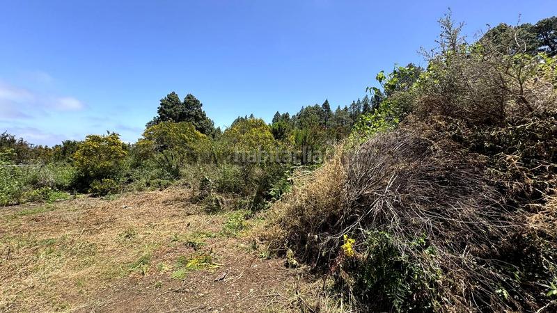 Foto c3209632-0cb7-4ba6-ad58-d24930feb635. Terreno residenziale in la peña 1 in La Vega - El Amparo - Cueva del Viento Icod de los Vinos