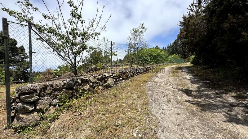 Foto cc232a38-fc12-499a-be46-f810d954d432. Terreno residenziale in la peña 1 in La Vega - El Amparo - Cueva del Viento Icod de los Vinos