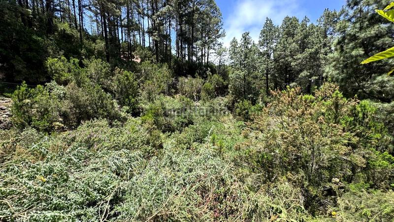 Foto da3c25ca-5571-4c8c-a862-a81a009f0315. Terreno residenziale in la peña 1 in La Vega - El Amparo - Cueva del Viento Icod de los Vinos