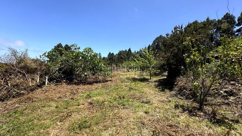 Foto 131213be-9646-43f9-a28b-0afc4681e031. Wohngrundstück in la peña 1 in La Vega - El Amparo - Cueva del Viento Icod de los Vinos