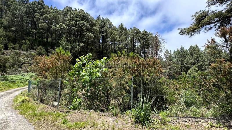 Foto 19f1a641-b851-474b-a907-8b47473b278d. Wohngrundstück in la peña 1 in La Vega - El Amparo - Cueva del Viento Icod de los Vinos