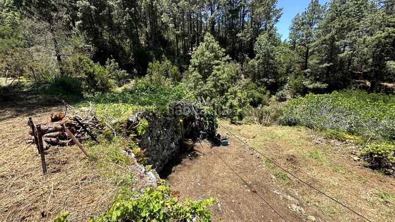 Foto 2ee75096-894c-4b4e-bb6f-90c2e34feb4f. Wohngrundstück in la peña 1 in La Vega - El Amparo - Cueva del Viento Icod de los Vinos