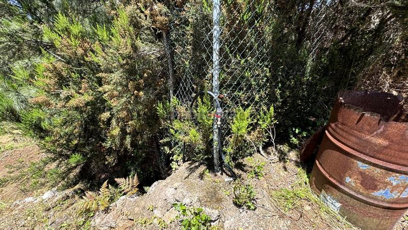 Foto 8084c5aa-f227-43dc-8cb3-19288e79b02c. Wohngrundstück in la peña 1 in La Vega - El Amparo - Cueva del Viento Icod de los Vinos