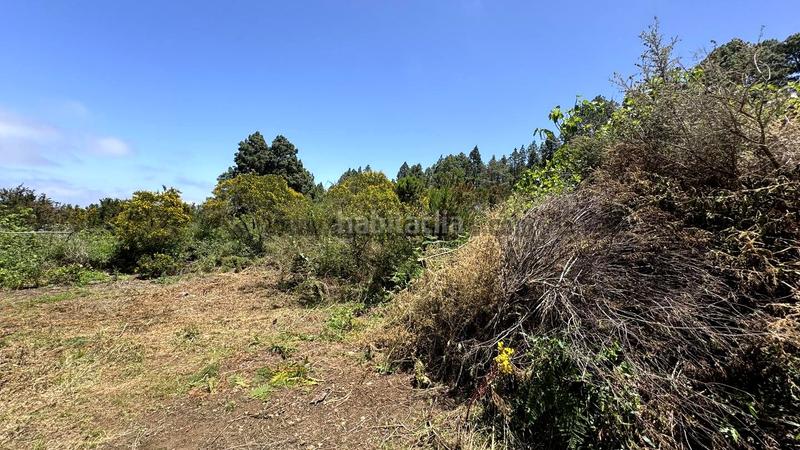 Foto ab5acc91-fdab-42f4-afe2-880e40242b52. Wohngrundstück in la peña 1 in La Vega - El Amparo - Cueva del Viento Icod de los Vinos