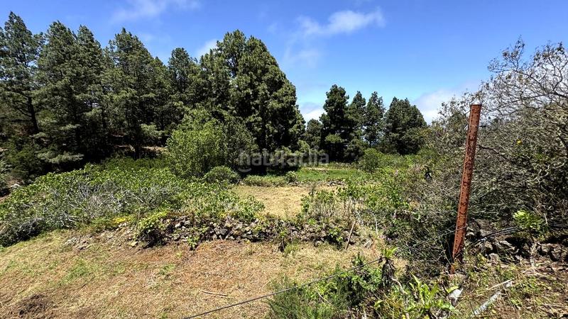 Foto fec0a13d-12d4-47e2-9c03-a8ea496e306f. Wohngrundstück in la peña 1 in La Vega - El Amparo - Cueva del Viento Icod de los Vinos