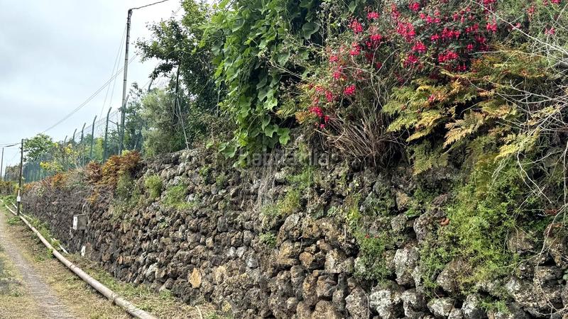 Foto 1c719bbc-4f5f-4e79-8d20-7ea325d1bd6d. Bauernhof in La Vega - El Amparo - Cueva del Viento Icod de los Vinos