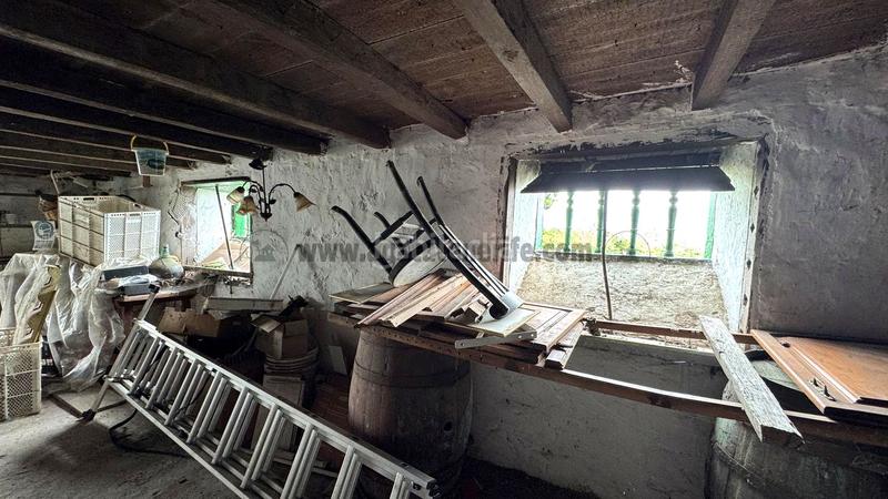 Foto 3a84db22-2b8c-461d-abb4-2bac90007e3a. Bauernhof in La Vega - El Amparo - Cueva del Viento Icod de los Vinos