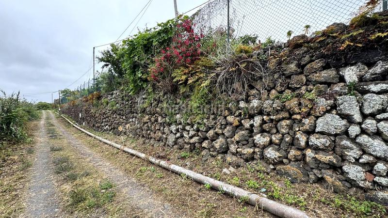 Foto 51435409-33ca-4565-b826-bc27c81d34c5. Bauernhof in La Vega - El Amparo - Cueva del Viento Icod de los Vinos