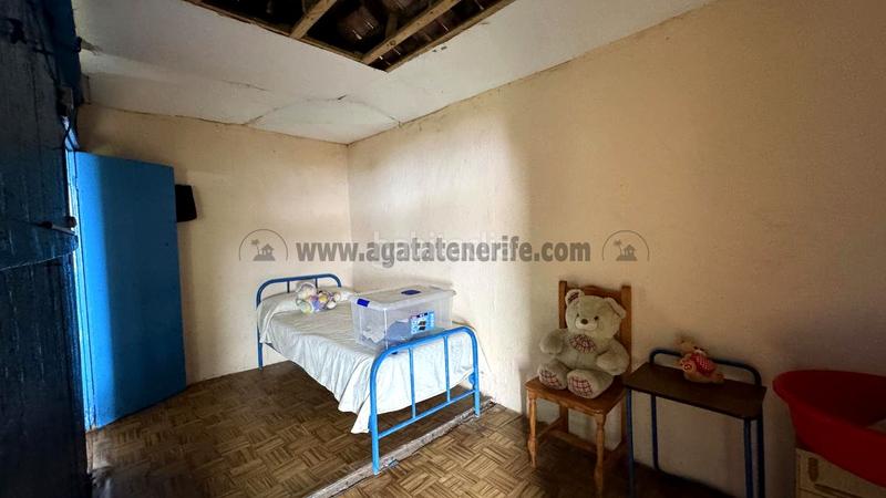 Foto 79754be6-44d6-47f3-bcf9-aaf6afbbba9f. Bauernhof in La Vega - El Amparo - Cueva del Viento Icod de los Vinos