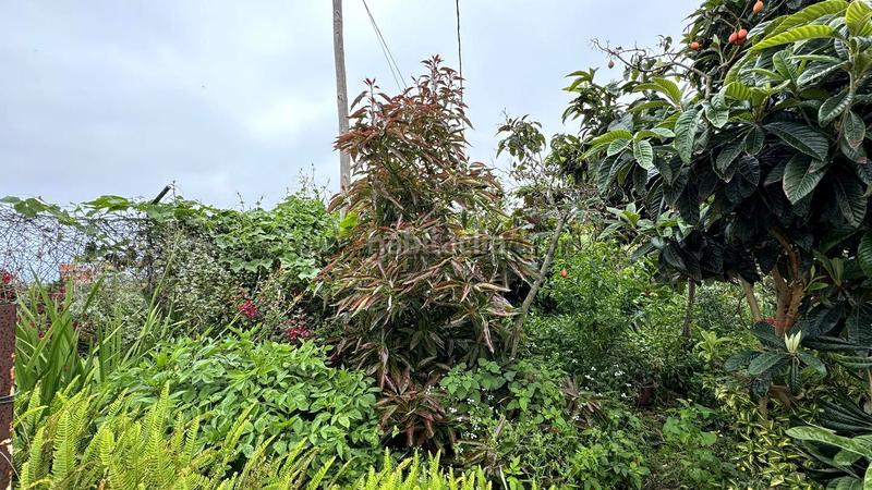 Foto 91a9a3fe-f3d5-4d61-a3f8-e13039f1ba4c. Bauernhof in La Vega - El Amparo - Cueva del Viento Icod de los Vinos