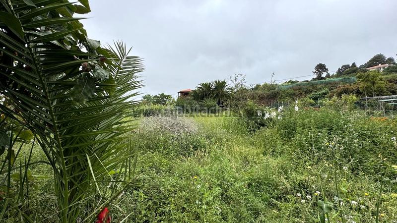 Foto 9334778c-8b7c-425a-8523-aa89cb223709. Bauernhof in La Vega - El Amparo - Cueva del Viento Icod de los Vinos