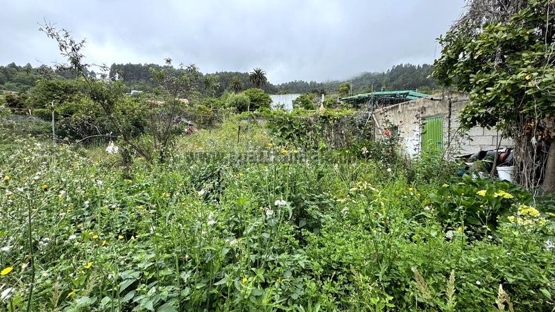 Foto a9a2b12b-ebf7-4d77-9256-dc88f0fcbf6d. Bauernhof in La Vega - El Amparo - Cueva del Viento Icod de los Vinos