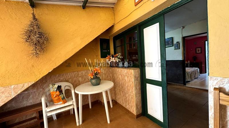 Foto 8654c785-6f48-4a5c-8474-bd5d9eeeacfd. Masia a La Vega - El Amparo - Cueva del Viento Icod de los Vinos