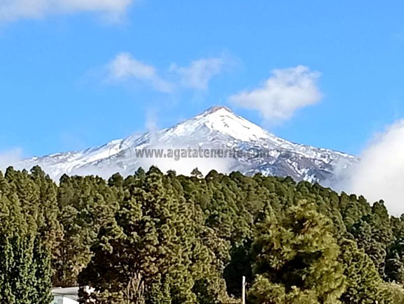 Foto 80ed5c10-c0fe-49dc-956b-06c89c12d8de. Casa con parcheggio piscina in La Vega - El Amparo - Cueva del Viento Icod de los Vinos
