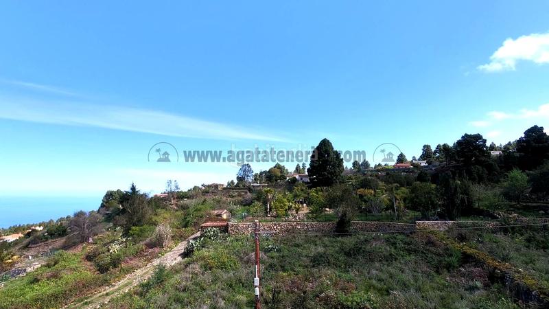 Foto 7a1e255f-f4b2-4b0a-b53e-ff7d1cd58211. Haus mit parking pool in La Vega - El Amparo - Cueva del Viento Icod de los Vinos