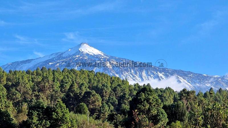 Foto 477249f2-41a2-4742-8f59-7bf33c066653. Maison avec parking piscine dans La Vega - El Amparo - Cueva del Viento Icod de los Vinos