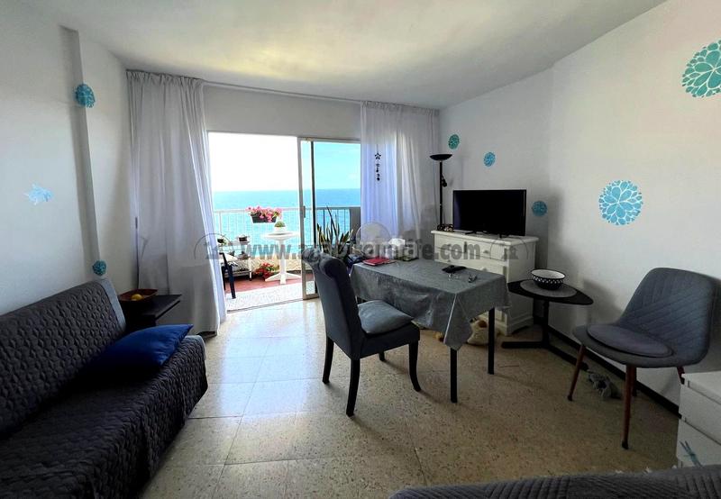 Foto 11b9cbc9-26b3-4ec9-89df-4851656fc044. Estudio en San Felipe - San Marcos - Las Cañas Icod de los Vinos